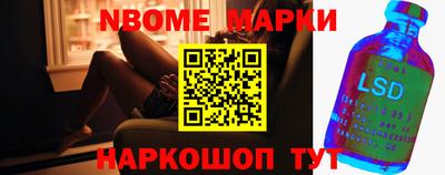 СК Кингисепп
