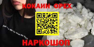 СК Кингисепп