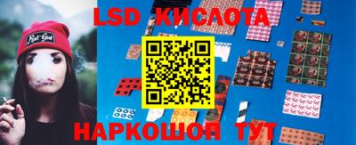 СК Кингисепп