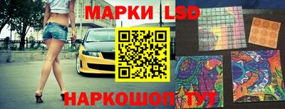 СК Кингисепп