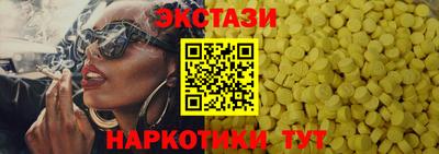 СК Кингисепп