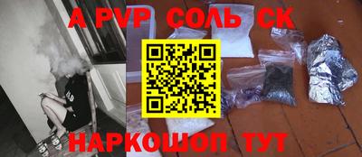 СК Кингисепп